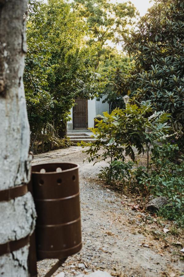 Casa Campestre Las Ruedas Apartment ปาร์ราส เด ลา ฟอนเต ภายนอก รูปภาพ